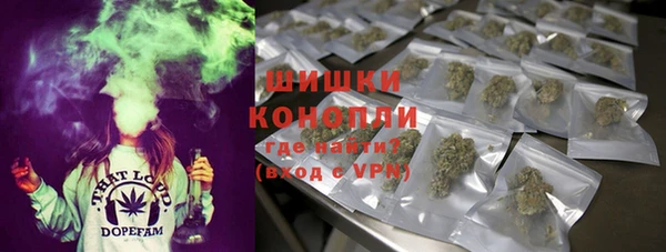 хмурый Пестово