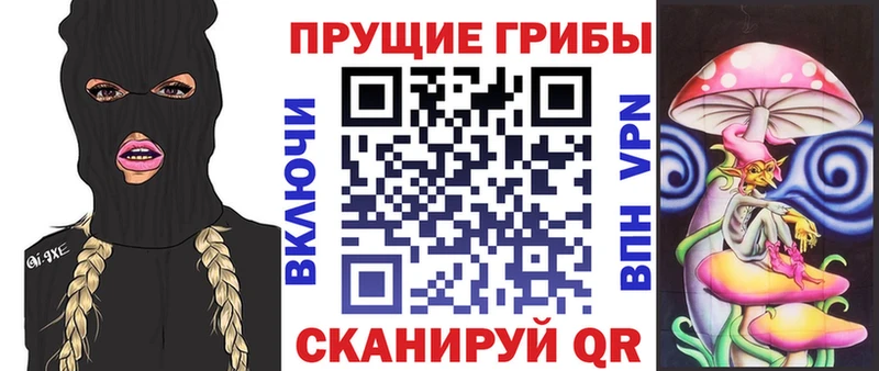 Галлюциногенные грибы Cubensis  darknet как зайти  Сатка 