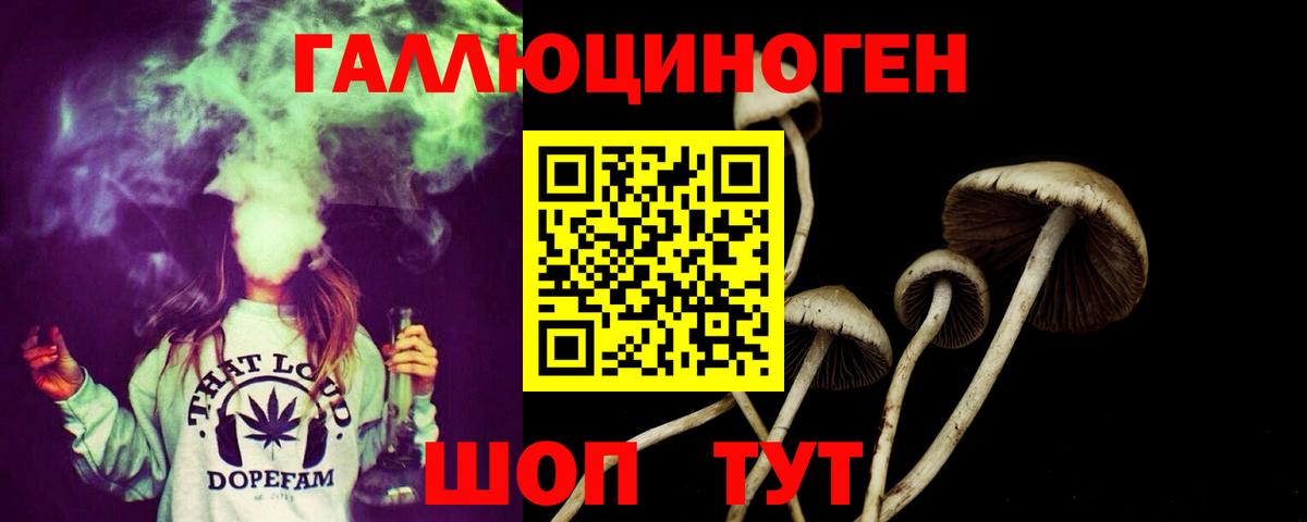 Псилоцибиновые грибы Magic Shrooms Сатка