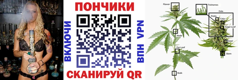 mega маркетплейс  где купить наркотик  Сатка  darknet телеграм  Каннабис семена 